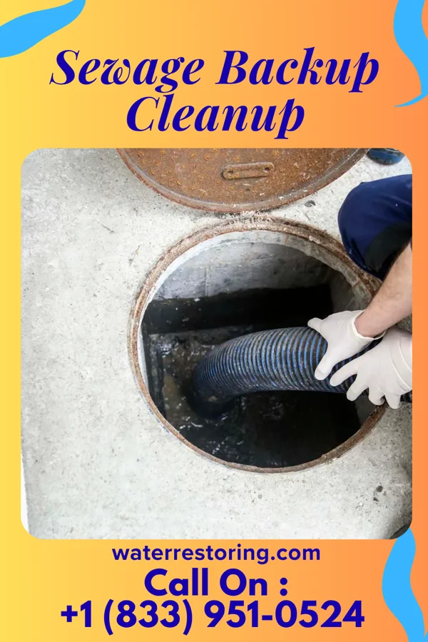 Sewage Backup Cleanup in Bowman, AR